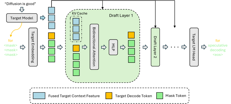 Figure 2:DFlash 推理架構設計。從目標模型提取的隱藏上下文特徵經過融合後,注入到草稿模型每一層的 Key-Value cache 中,以實現條件式推測生成。